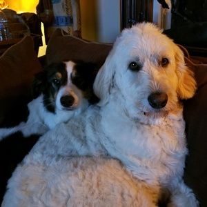 Meet your Posher, Kimberly